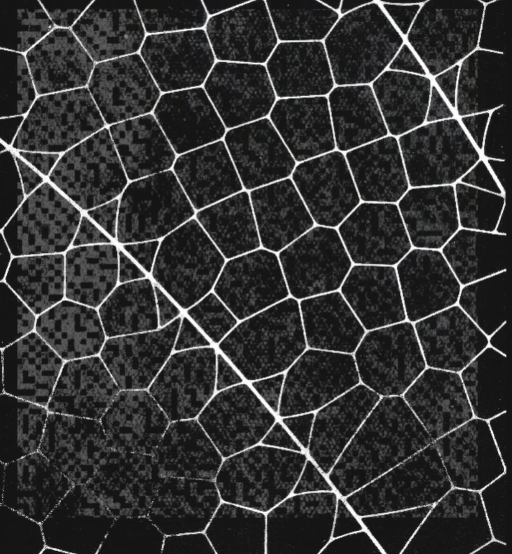 Anthropic launches Project Glasswing, Claude Mythos Preview in AI cybersecurity push