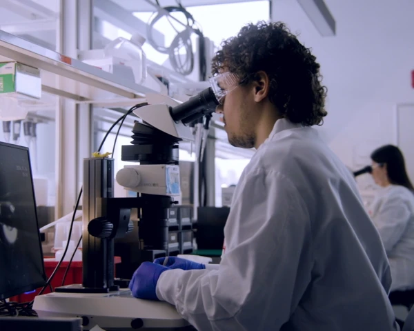 Eli Lilly: Lessons from running an AI factory