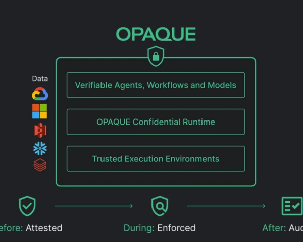 Anthropic licenses, releases Opaque in acquihire