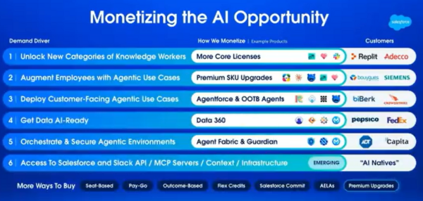 Salesforce monetization