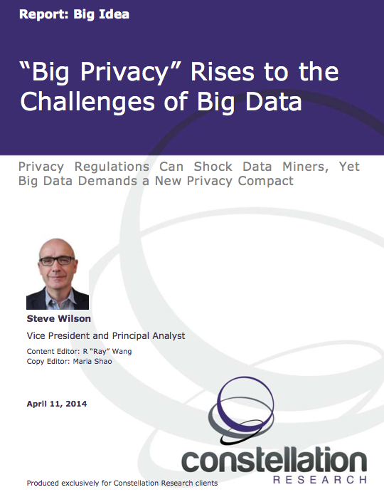 Big Privacy report cover