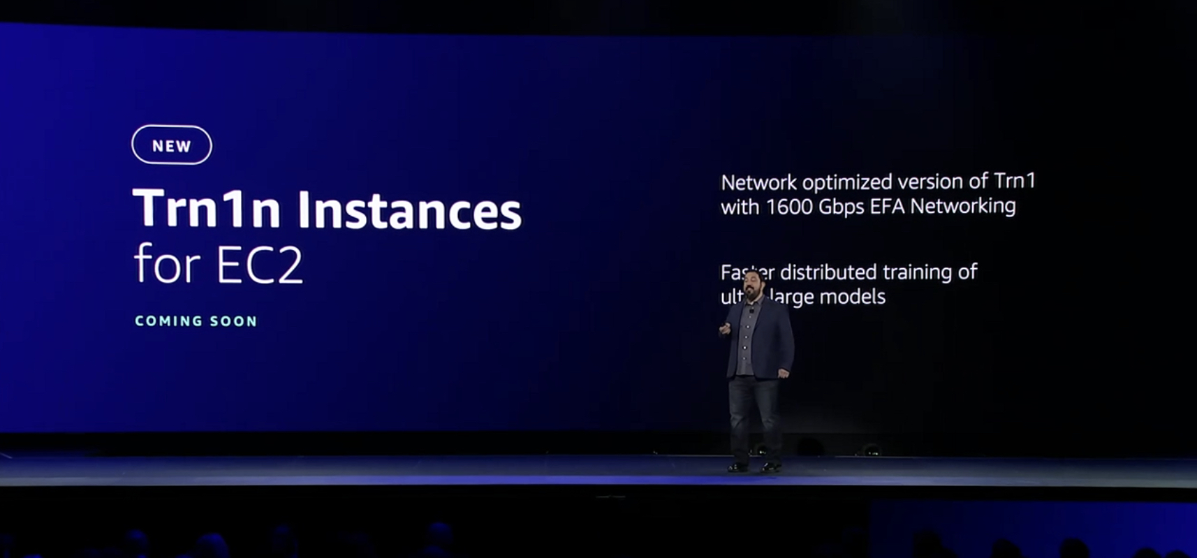 Trn1e Instance for Very Large Machine Learning Models