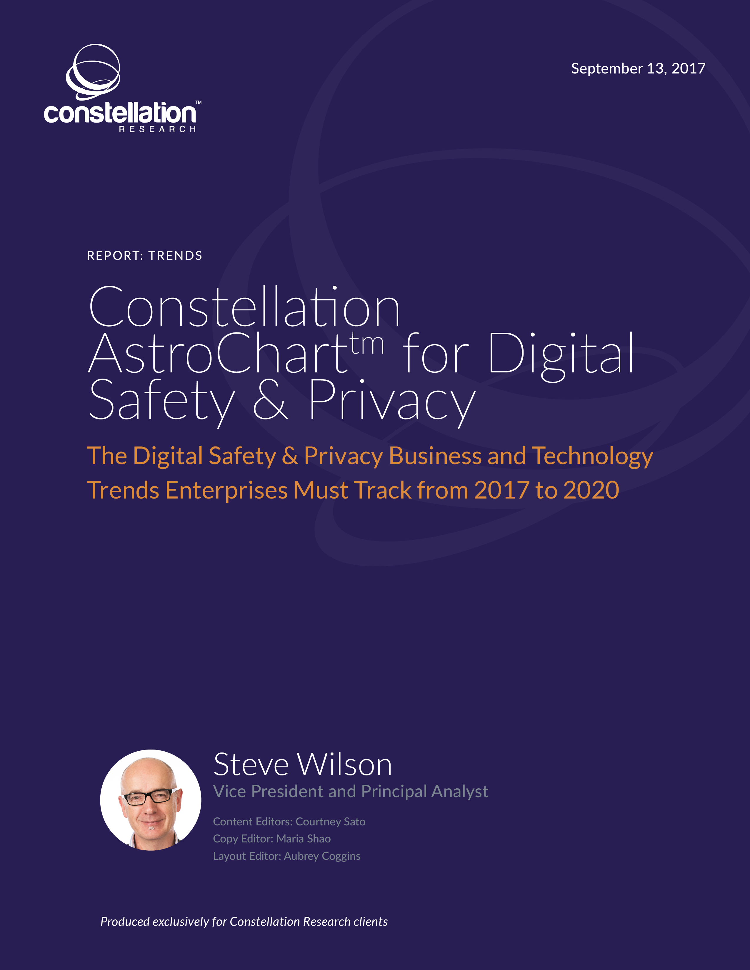 Constellation Astrochart for Digital Safety and Privacy Trends