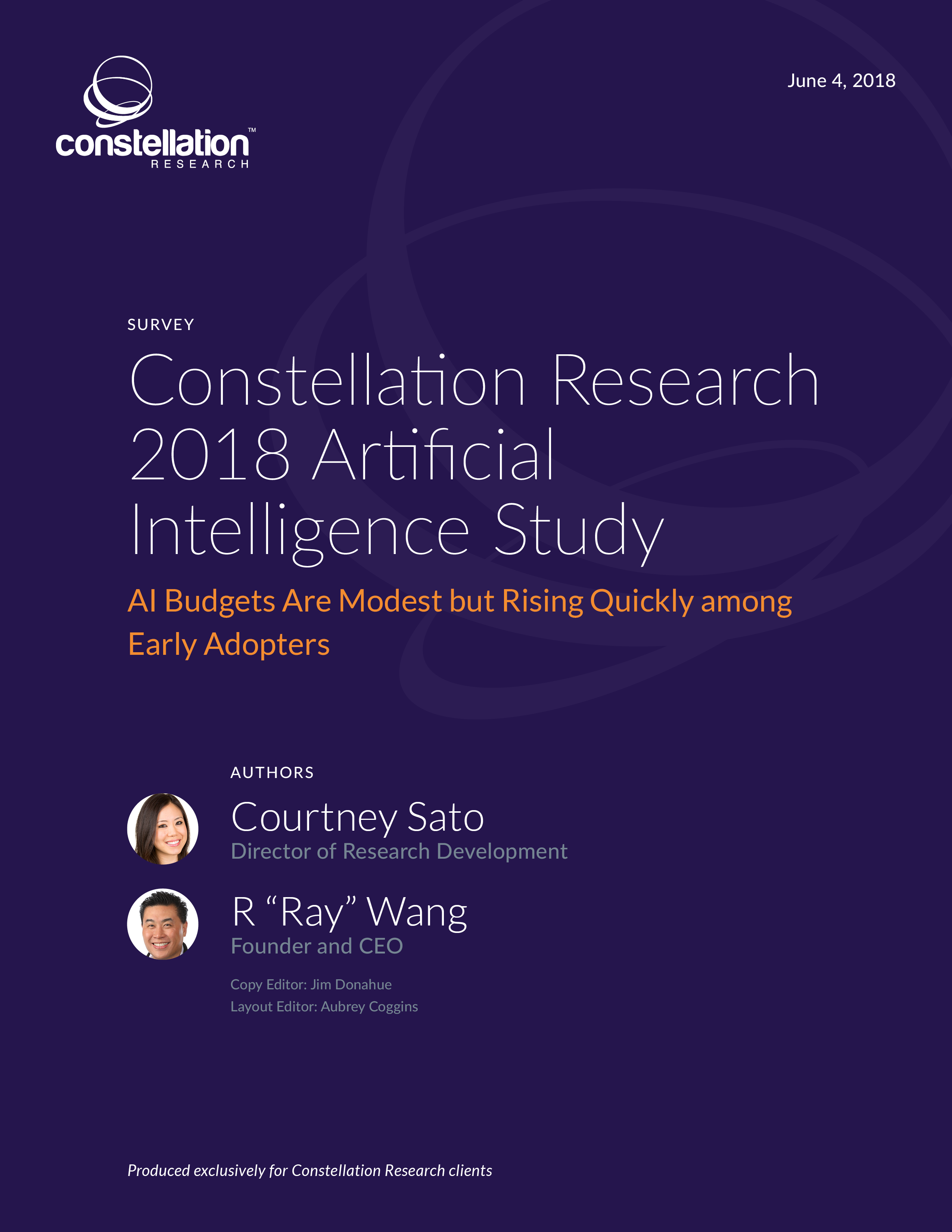 Constellation 2018 AI Study